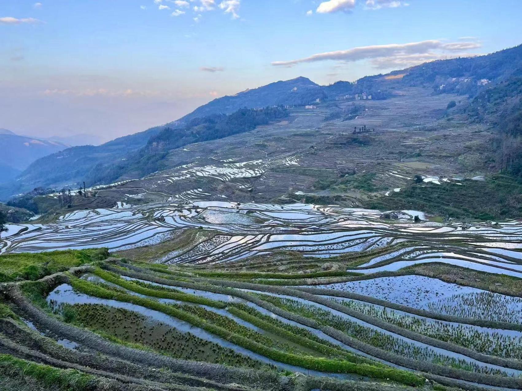 Yuanyang Flower And Horse Inn Esterno foto